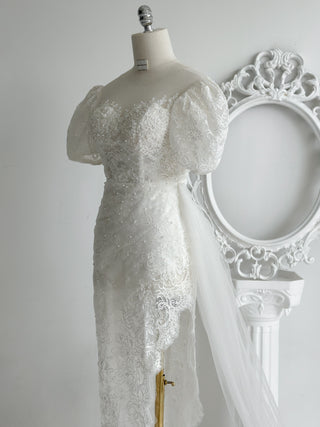 A201 ASTRAL WEDDING STORY DRESS