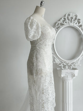 A201 ASTRAL WEDDING STORY DRESS