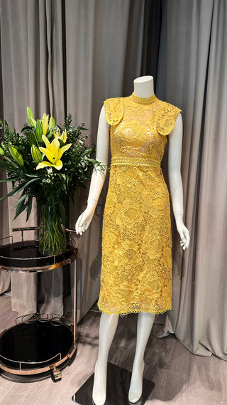 EC017 YELLOW DAISY DRESS